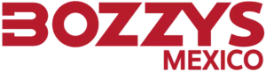 Bozzys